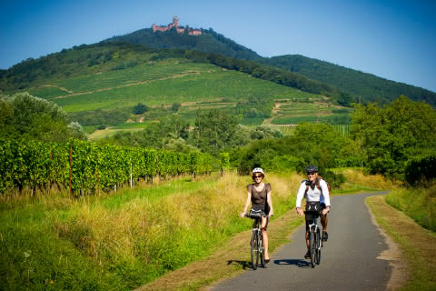 VéloRoute du Vignoble - Alsace