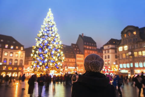 Grand Sapin de Noël - Strasbourg
