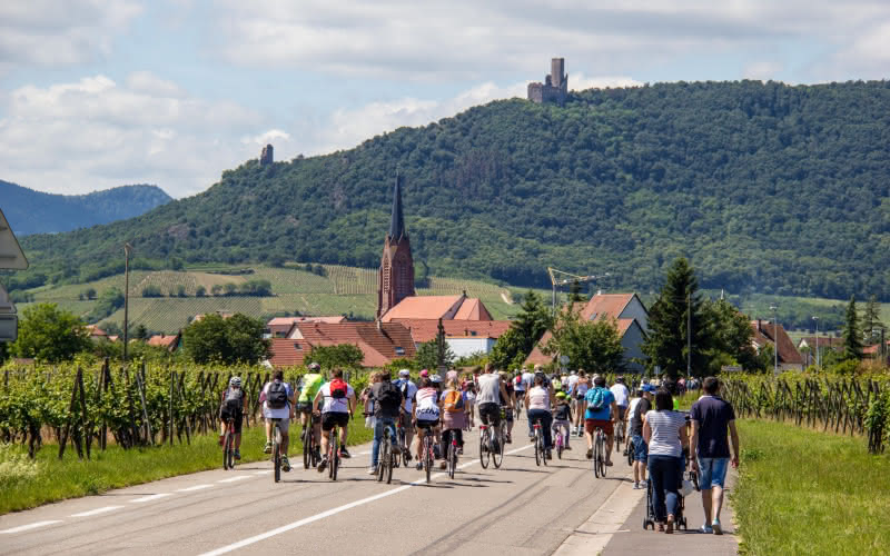 Chaque 1er dimanche de juin a lieu le slowUp Alsace sur la Route de Vins