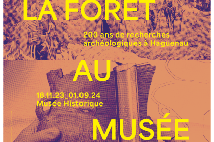Exposition - De la Forêt au Musée Du 18/11/2023 au 1/9/2024