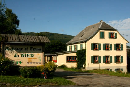 Auberge et Ferme du Ried - Vallée de Munster