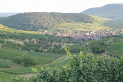 Strangenberg, Westhalten, Pays de Rouffach, Vignobles et Châteaux, Haut-Rhin, Alsace